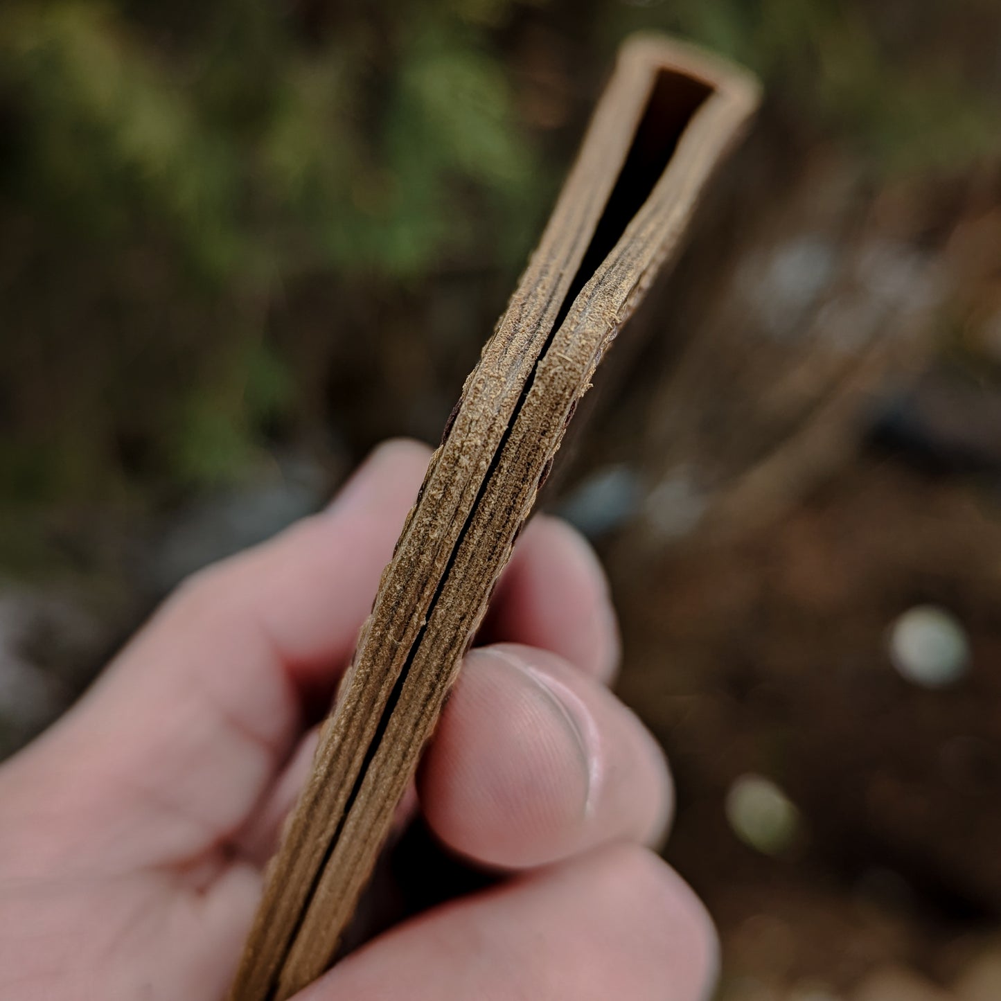 Minimalist Bi-Fold - Walnut